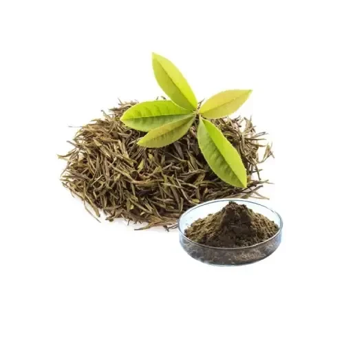 Green Tea Extract